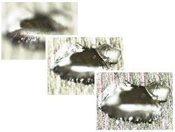 product_gx53_observation_11.jpg